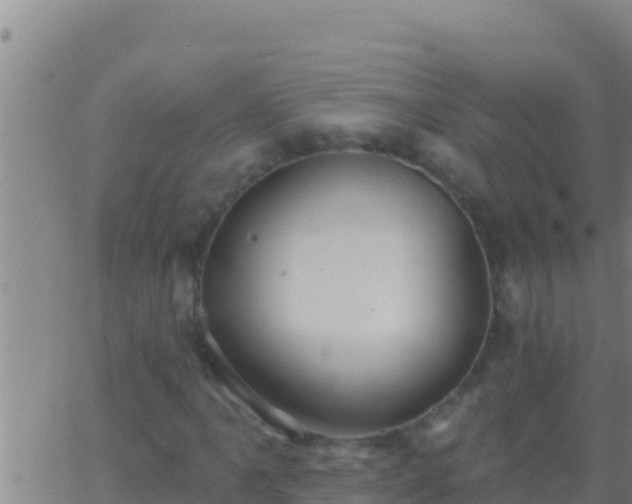 X0000062911061200601201930