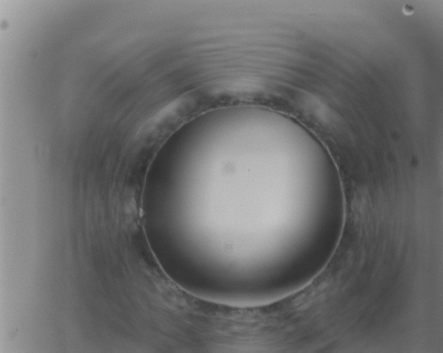 X0000062911062200601201930