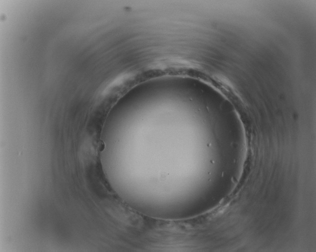 X0000062911063200601201930