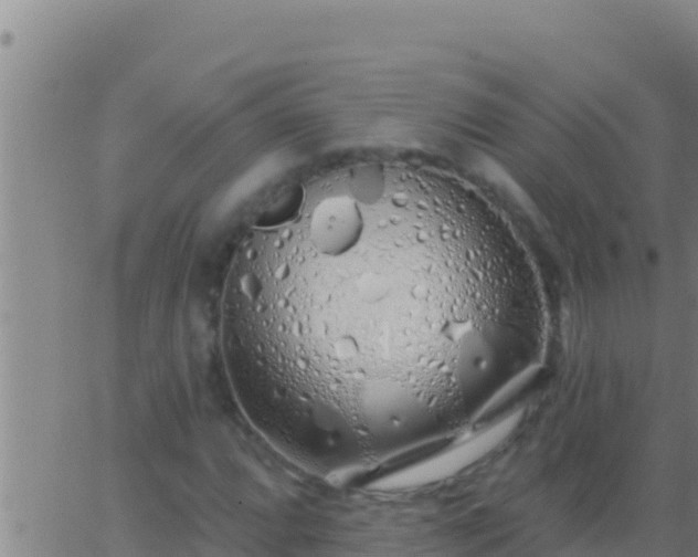 X0000062911064200601201930