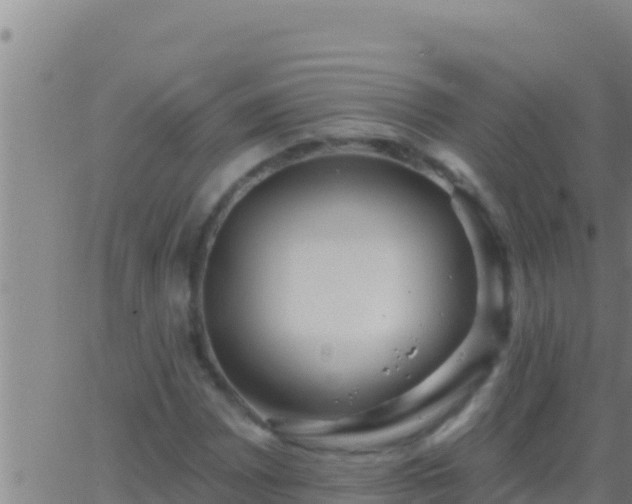 X0000062911065200601201930