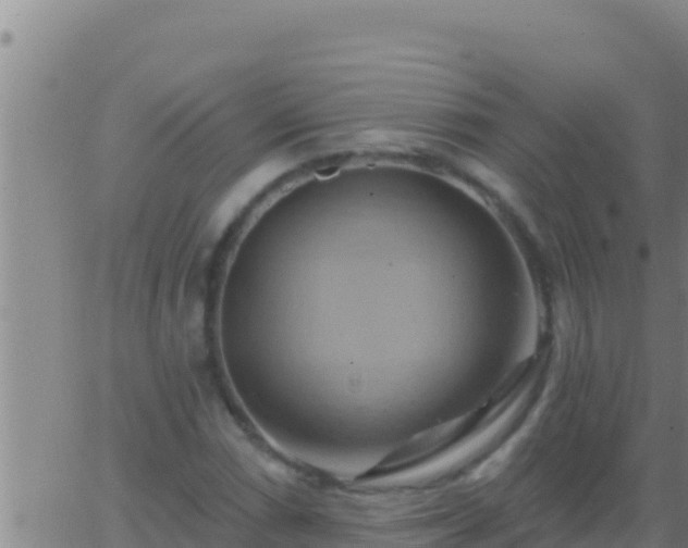 X0000062911066200601201930