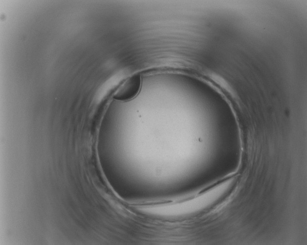 X0000062911067200601201930