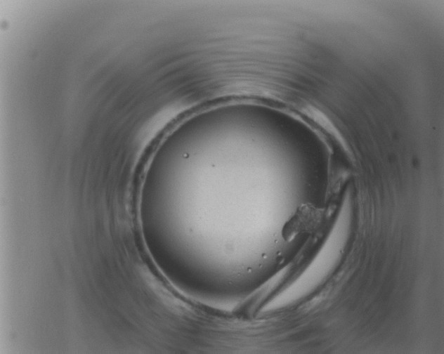 X0000062911068200601201930