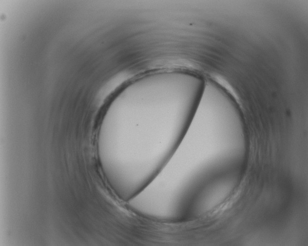 X0000062911071200601201930