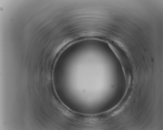 X0000062911073200601201930