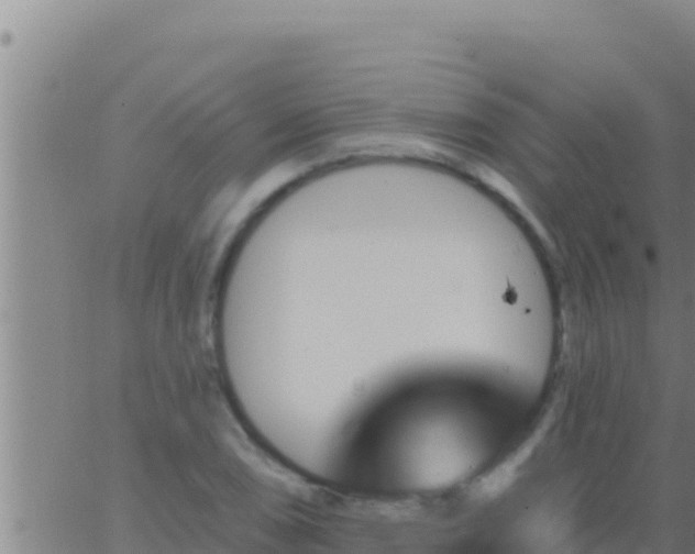 X0000062911074200601201930