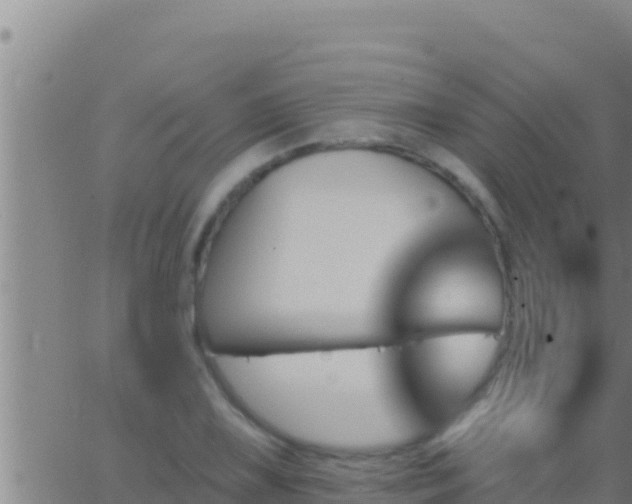 X0000062911075200601201930