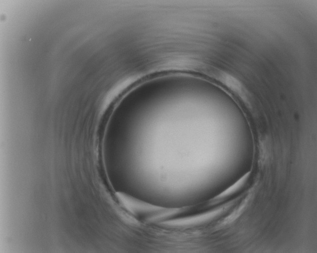 X0000062911077200601201930