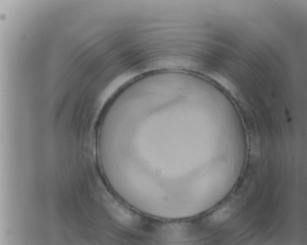 X0000062911078200601201930