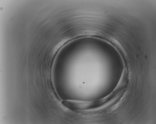 X0000062911081200601201930