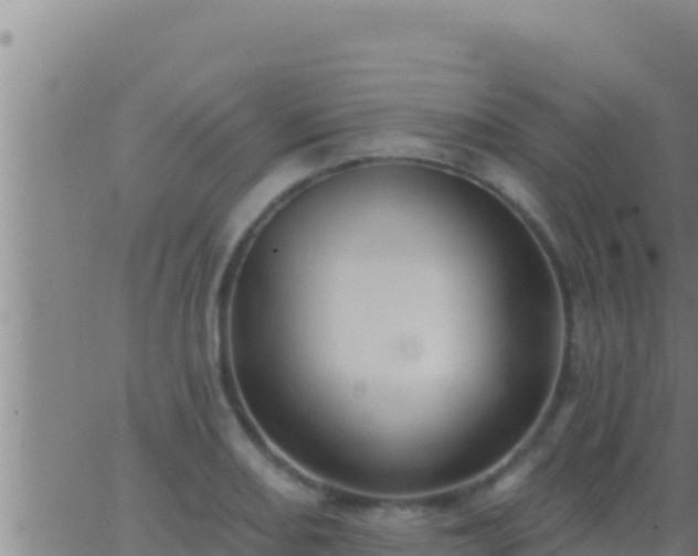 X0000062911082200601201930