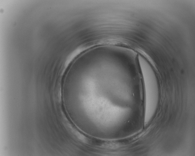 X0000062911083200601201930