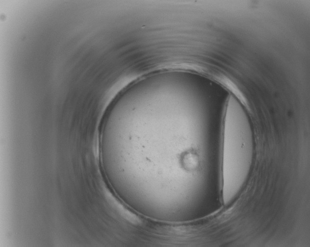 X0000062911084200601201930