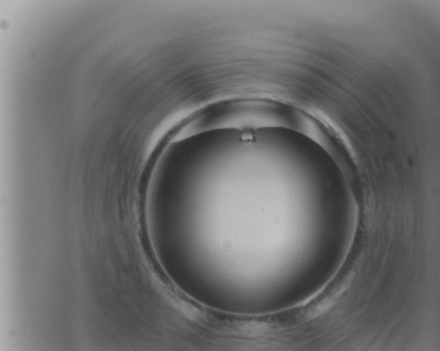 X0000062911085200601201930