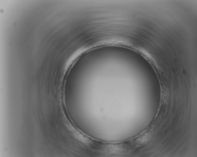 X0000062911086200601201930