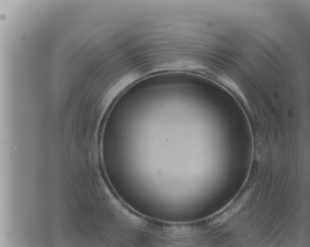 X0000062911087200601201930