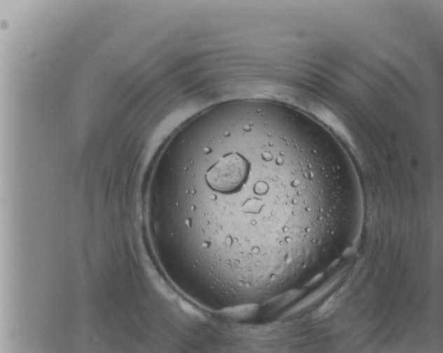 X0000062911088200601201930