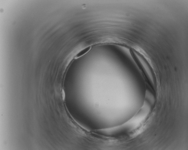 X0000062911089200601201930