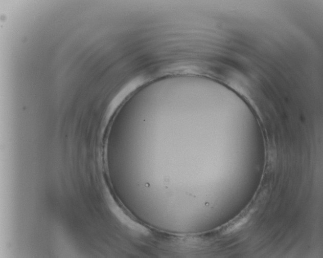 X0000062911090200601201930