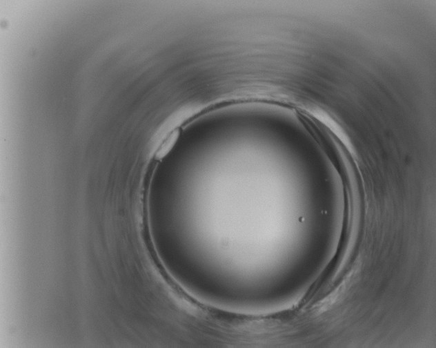 X0000062911093200601201930