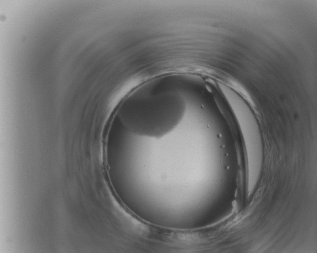 X0000062911095200601201930