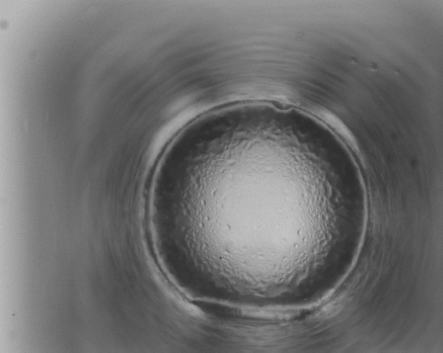 X0000062911096200601201930