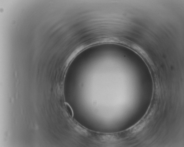 X0000062911097200601201930