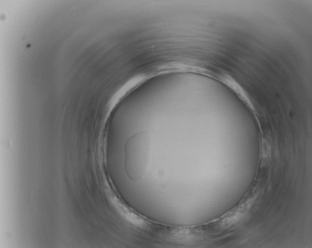 X0000062911098200601201930