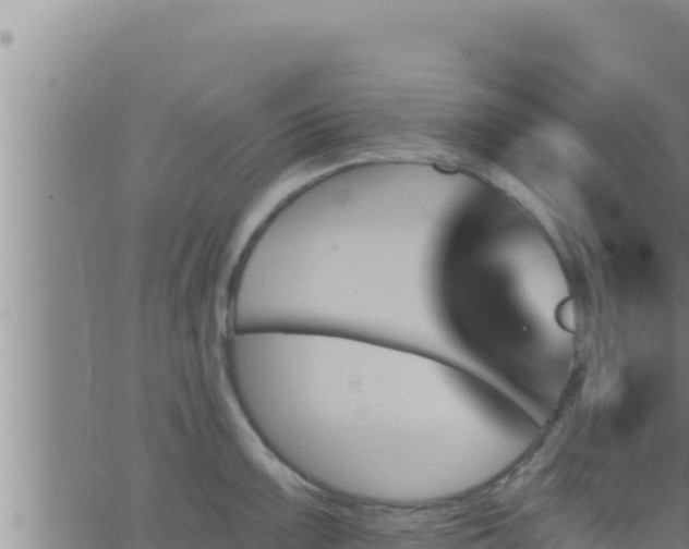 X0000062911099200601201930