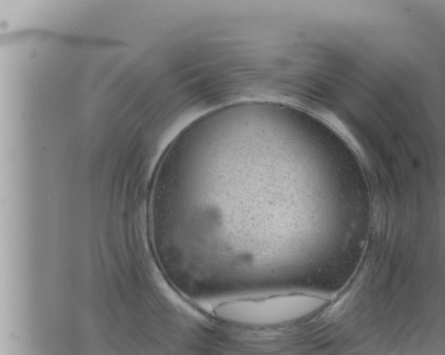 X0000062911100200601201930