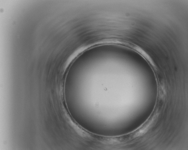 X0000062911101200601201930