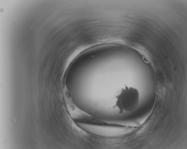 X0000062911102200601201930