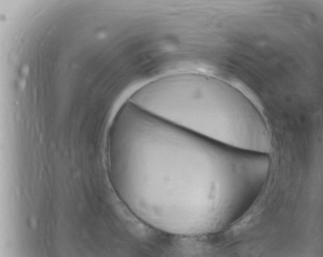 X0000062911104200601201930