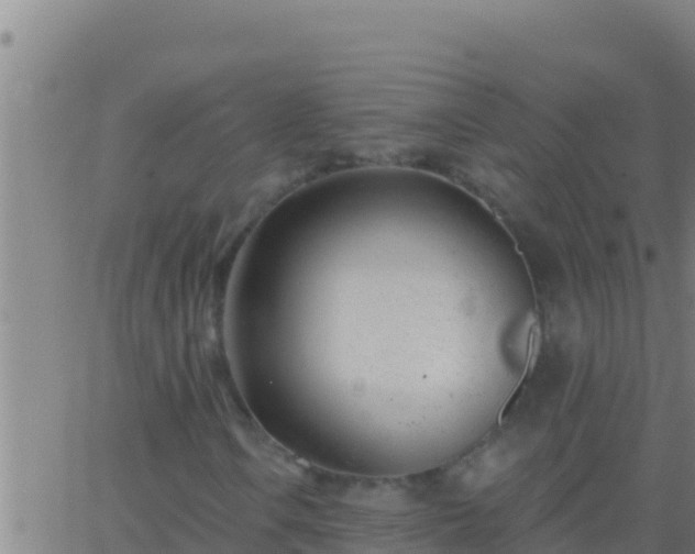 X0000062911106200601201929