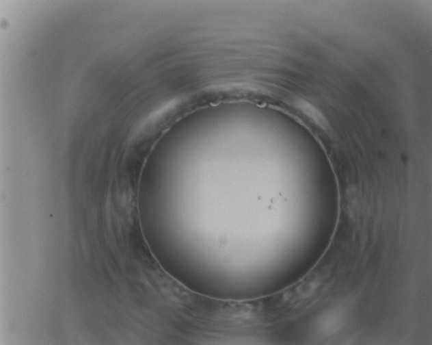 X0000062911111200601201929