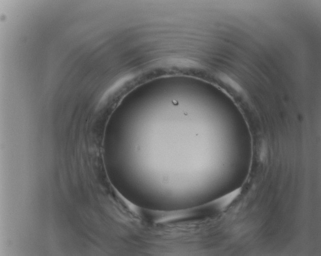 X0000062911112200601201929