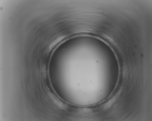 X0000062911113200601201929