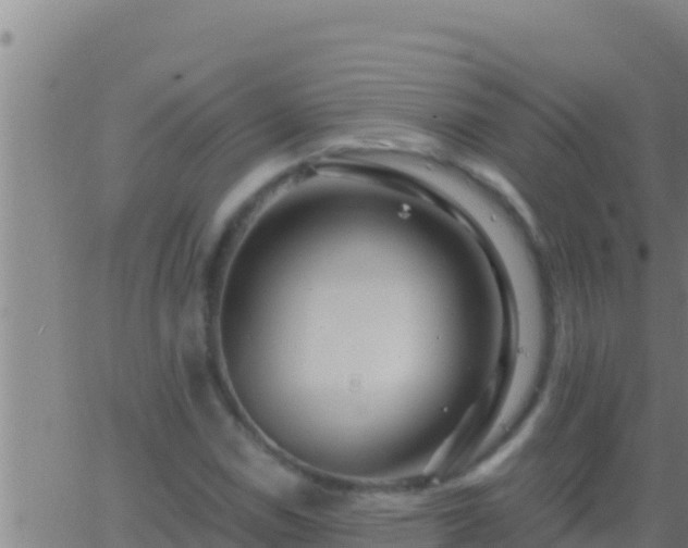 X0000062911114200601201929