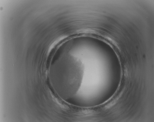 X0000062911117200601201929