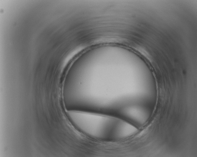 X0000062911119200601201929