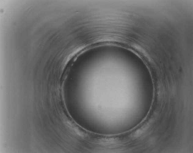 X0000062911121200601201929