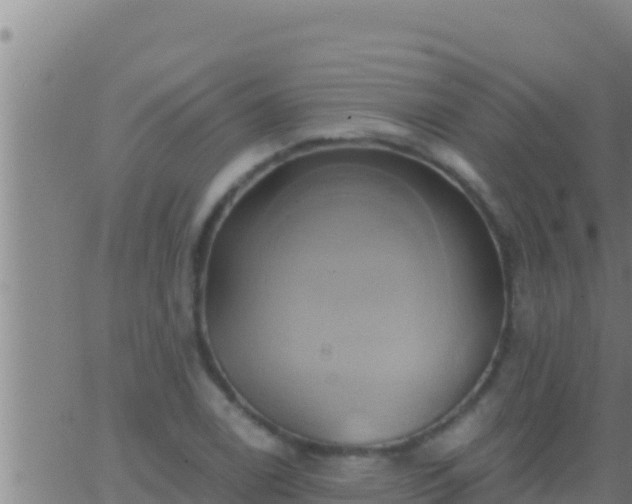 X0000062911122200601201929