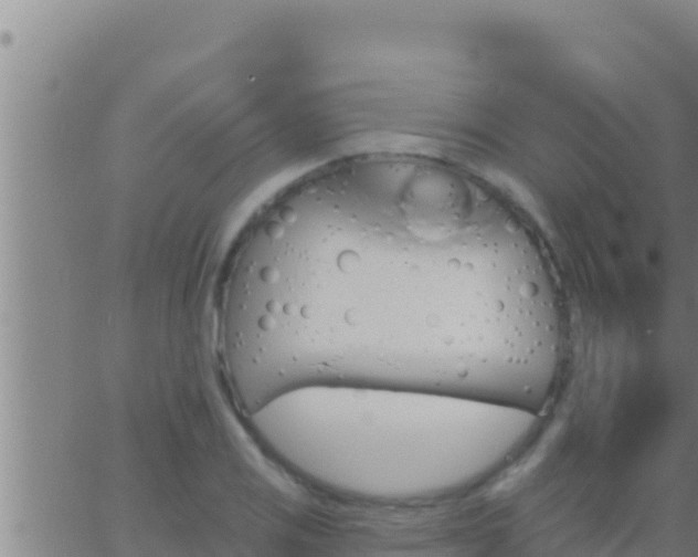 X0000062911125200601201929