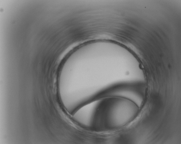 X0000062911126200601201929