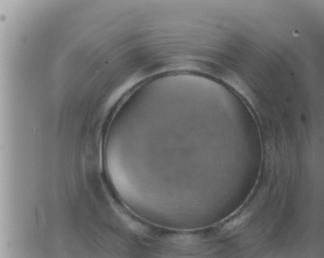 X0000062911127200601201929