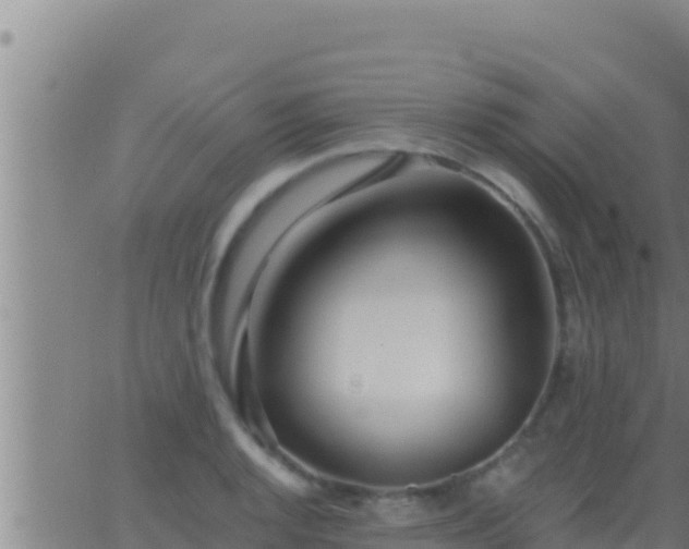 X0000062911128200601201929