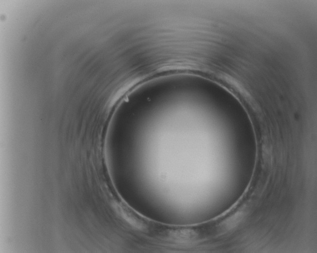 X0000062911129200601201929