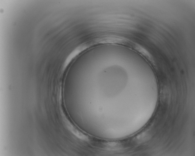 X0000062911130200601201929