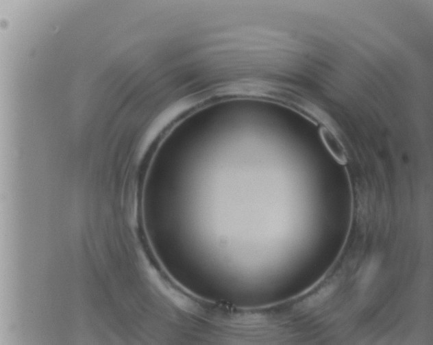 X0000062911131200601201929